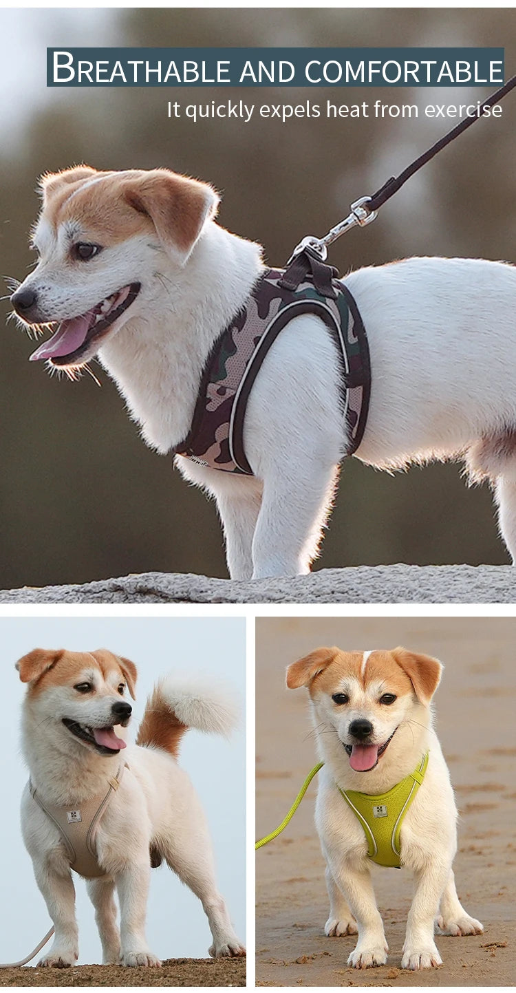Dog Harness Leash Set for small medium dog Adjustable Reflective Puppy Cat Harness pet Vest Chihuahua Yorkies Outdoor Walking