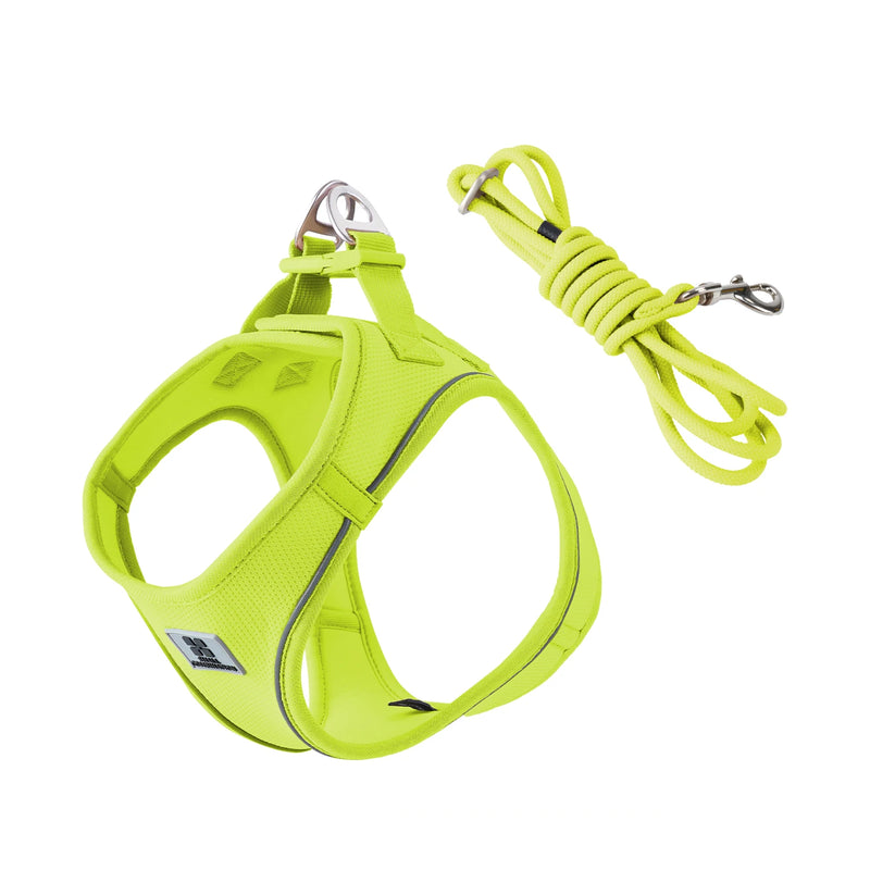 Dog Harness Leash Set for small medium dog Adjustable Reflective Puppy Cat Harness pet Vest Chihuahua Yorkies Outdoor Walking