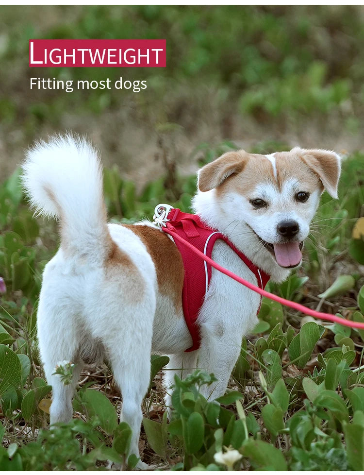 Dog Harness Leash Set for small medium dog Adjustable Reflective Puppy Cat Harness pet Vest Chihuahua Yorkies Outdoor Walking