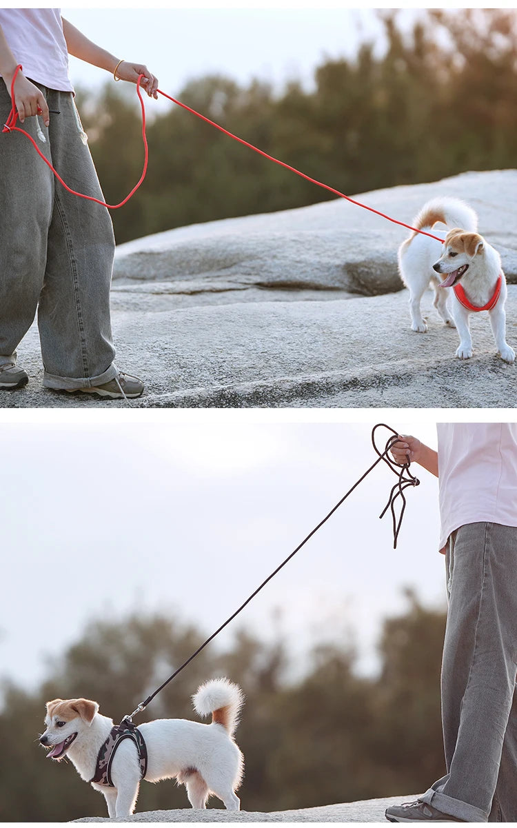 Dog Harness Leash Set for small medium dog Adjustable Reflective Puppy Cat Harness pet Vest Chihuahua Yorkies Outdoor Walking